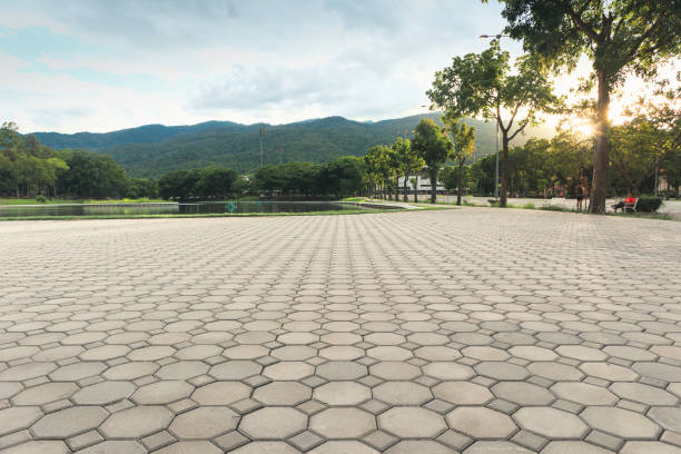 Best Local Driveway Pavers  in La Mesa, CA