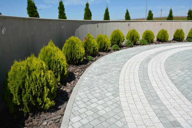 Best Concrete Paver Driveway  in La Mesa, CA
